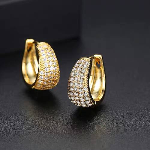 Gold Pave Rounded Hoop Zircon Stone Stainless Steel Gold Plated Earrings